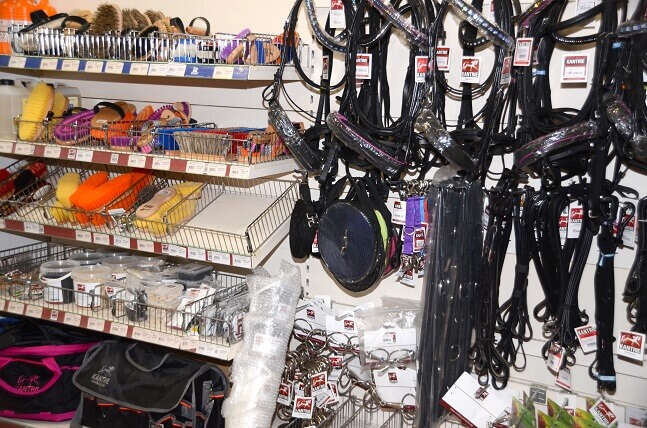 D1 100 752 Reiten Pritzwalk